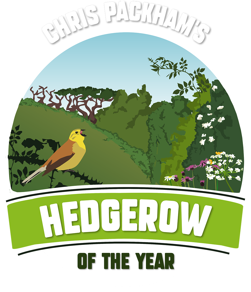 hedgerow of the year