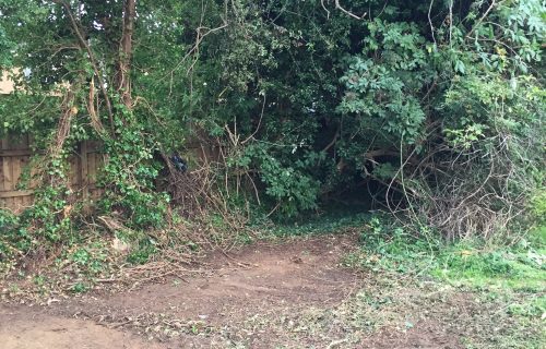 Hedgerow nomination