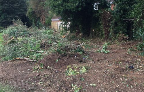 Hedgerow nomination