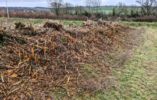 Hedgerow nomination